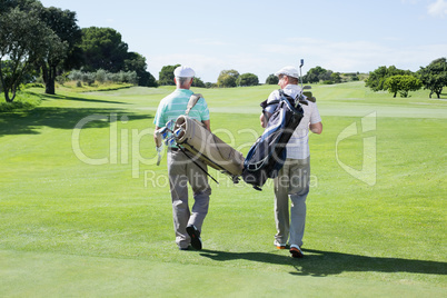 Golfer friends walking holding their golf bags