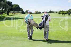 Golfer friends walking holding their golf bags