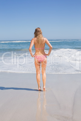 Rear view of fit woman in bikini on the beach