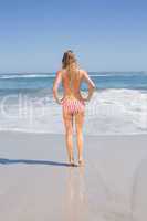 Rear view of fit woman in bikini on the beach