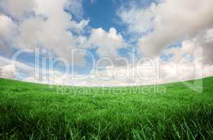 Green field under blue sky