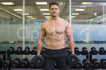 Shirtless determined bodybuilder lifting heavy black dumbbells