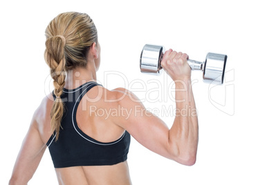 Female bodybuilder holding a large dumbbell rear view