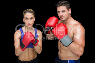 Bodybuilding couple posing with boxing gloves