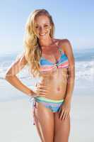 Gorgeous blonde in bikini on the beach posing