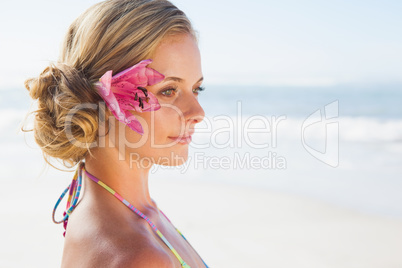 Gorgeous blonde in bikini smiling on the beach