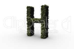 Letter h made of leaves