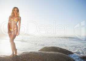 Gorgeous blonde in bikini posing on a rock at the beach