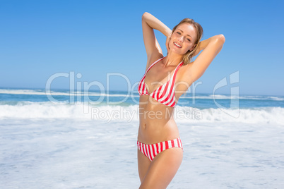 Gorgeous fit woman in bikini posing on the beach