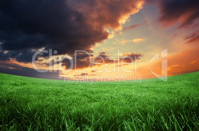 Green field under orange sky