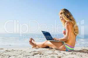 Gorgeous blonde in bikini using laptop on the beach