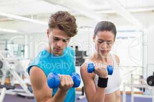 Fit couple exercising together with blue dumbbells