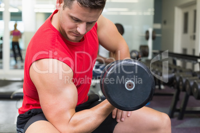 Handsome bodybuilder sitting on bench lifting dumbbell