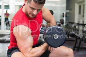 Handsome bodybuilder sitting on bench lifting dumbbell