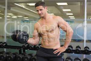 Shirtless bodybuilder lifting heavy black dumbbell looking at ca