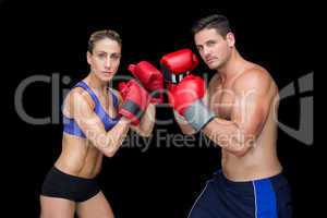 Bodybuilding couple posing with boxing gloves looking at camera