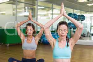 Fit women doing yoga together in studio