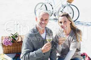 Couple enjoying white wine on picnic at the beach smiling at cam