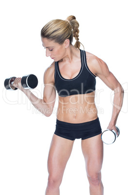 Female bodybuilder working out with large dumbbells