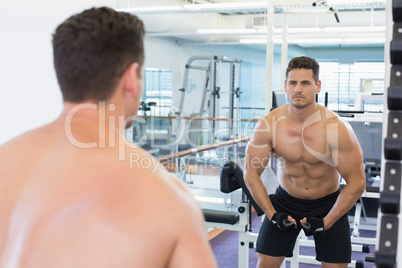 Shirtless bodybuilder flexing in front of the mirror
