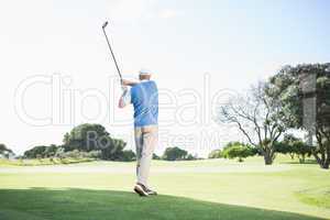 Concentrating golfer taking a shot