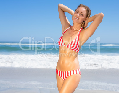 Gorgeous fit woman in bikini posing on the beach