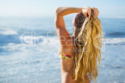 Gorgeous blonde in bikini standing on the beach