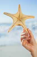 Woman holding starfish on the beach