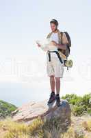 Handsome hiker holding map at mountain summit