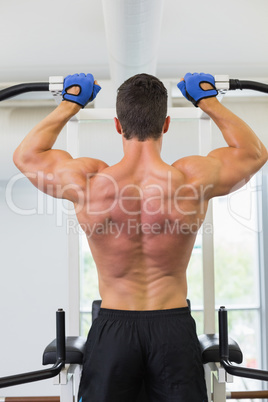 Male body builder doing pull ups at the gym