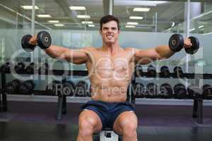 Muscular man exercising with dumbbells in gym