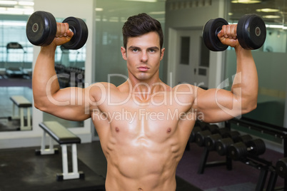 Shirtless muscular man exercising with dumbbells