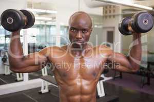 Muscular man exercising with dumbbells in gym