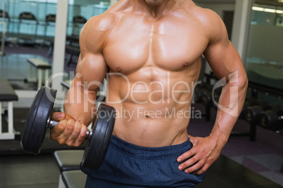 Shirtless muscular man exercising with dumbbell