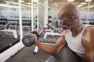 Muscular man exercising with dumbbell