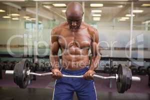 Muscular man lifting barbell in gym