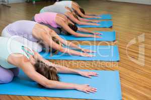 Yoga class in childs pose in fitness studio