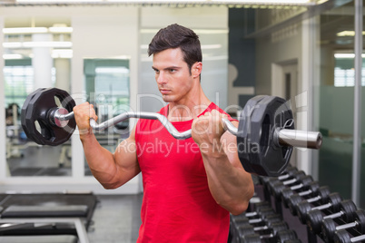 Muscular man lifting barbell in gym