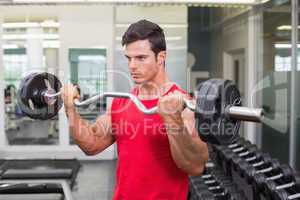 Muscular man lifting barbell in gym