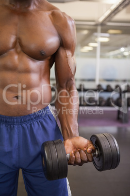 Muscular man exercising with dumbbell in gym