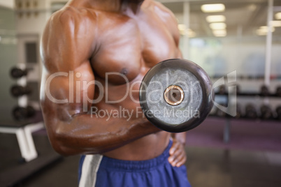 Muscular man exercising with dumbbell in gym