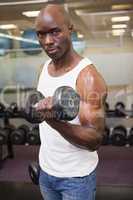 Muscular man exercising with dumbbell in gym