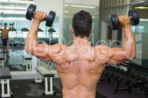 Rear view of shirtless muscular man exercising with dumbbells