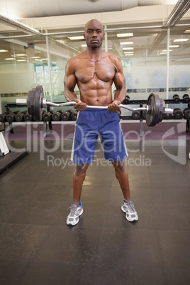 Muscular man lifting barbell in gym