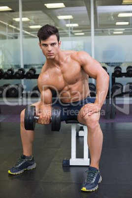 Muscular man exercising with dumbbell in gym