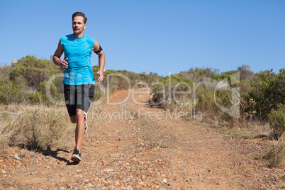 Athletic man jogging on country trail