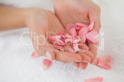 Woman holding pink rose petals Woman holding pink rose petals