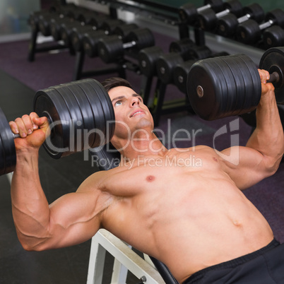 Muscular man exercising with dumbbells in gym