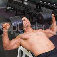 Muscular man exercising with dumbbells in gym