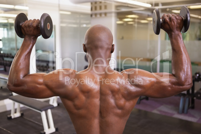 Muscular man exercising with dumbbells in gym